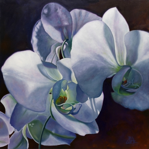 " Basking Glory "