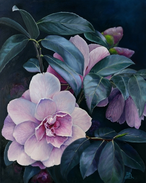 " Camelia Chorus "