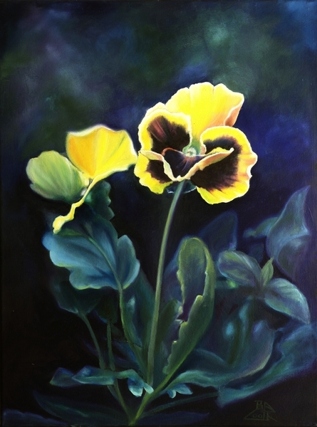 " Pansy Pop-Up "